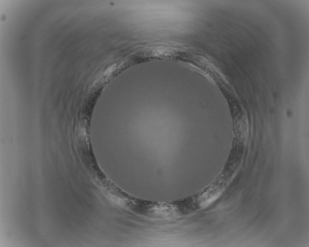 X0000069390415200605192219