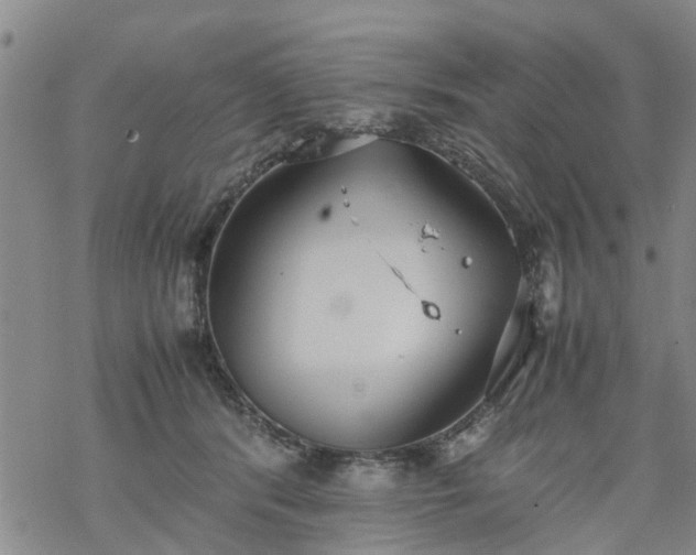 X0000069390416200605192219