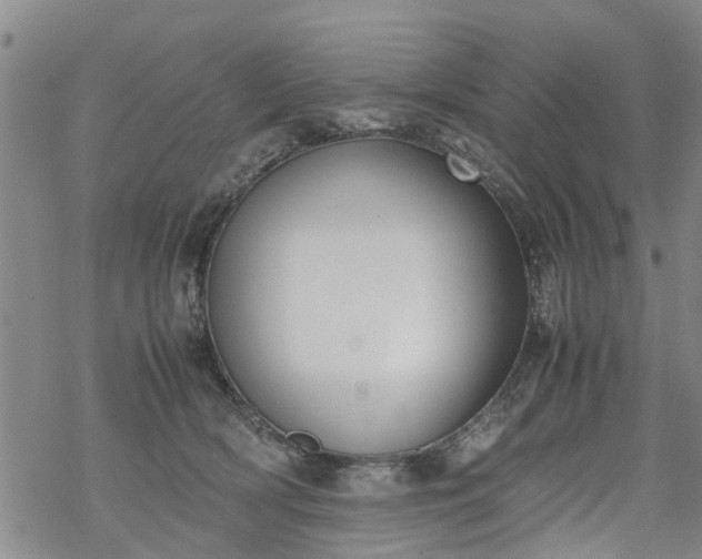 X0000069390418200605192219