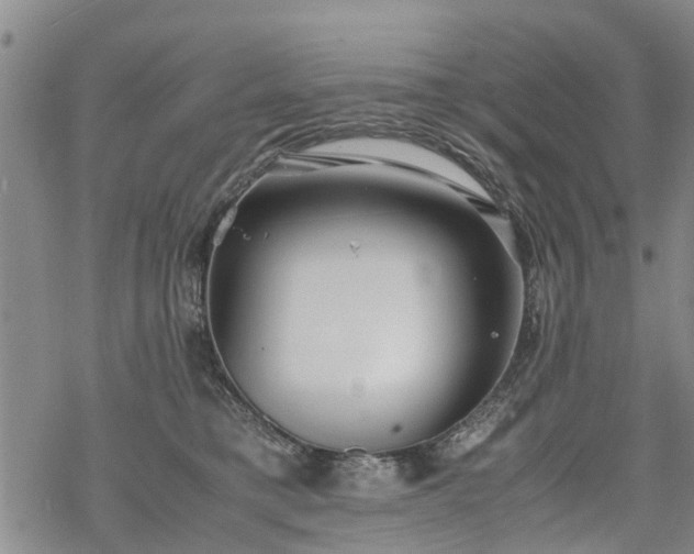 X0000069390421200605192219