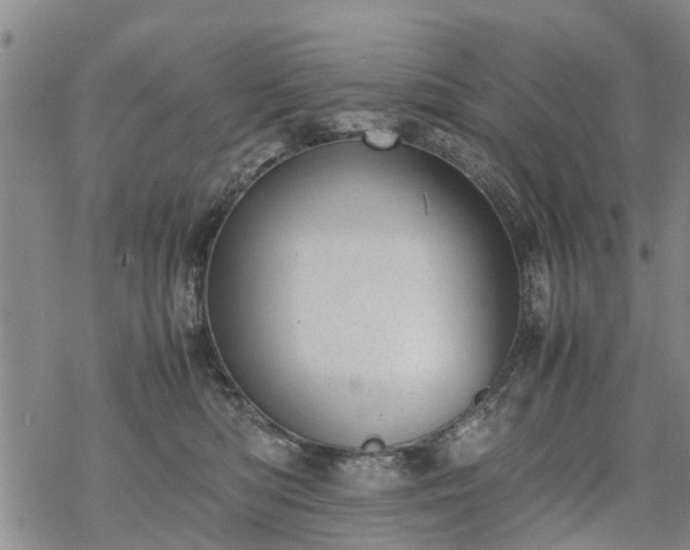 X0000069390422200605192219