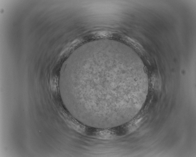 X0000069390423200605192219