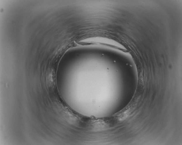 X0000069390424200605192218