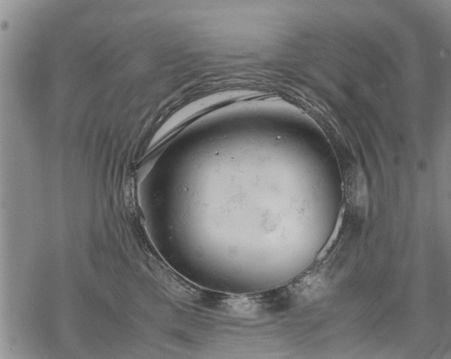 X0000069390425200605192218