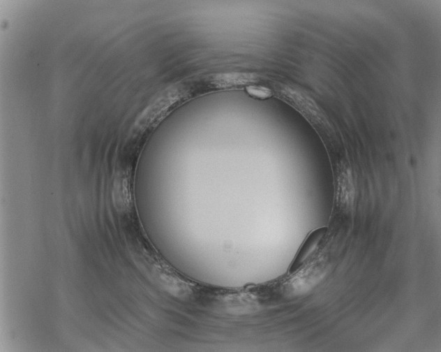 X0000069390426200605192218