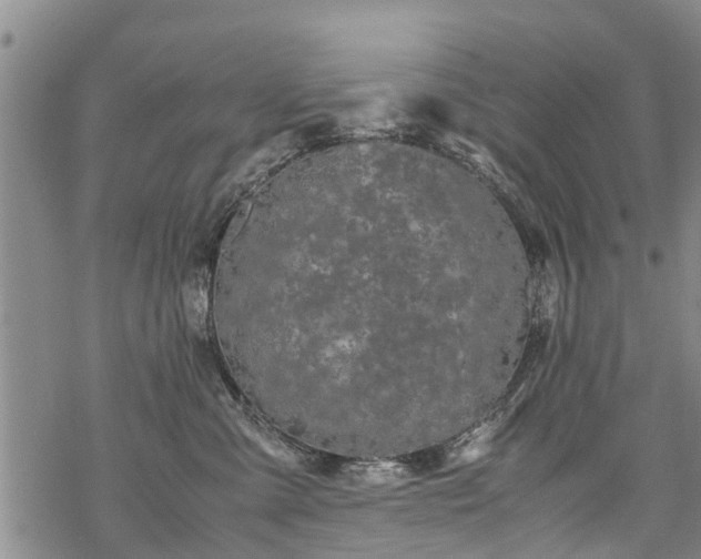 X0000069390427200605192218