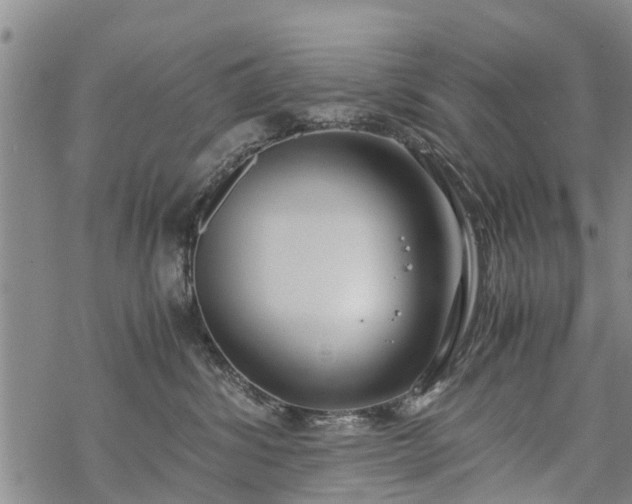 X0000069390428200605192218