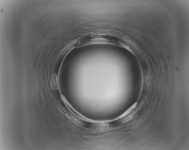 X0000069390429200605192218