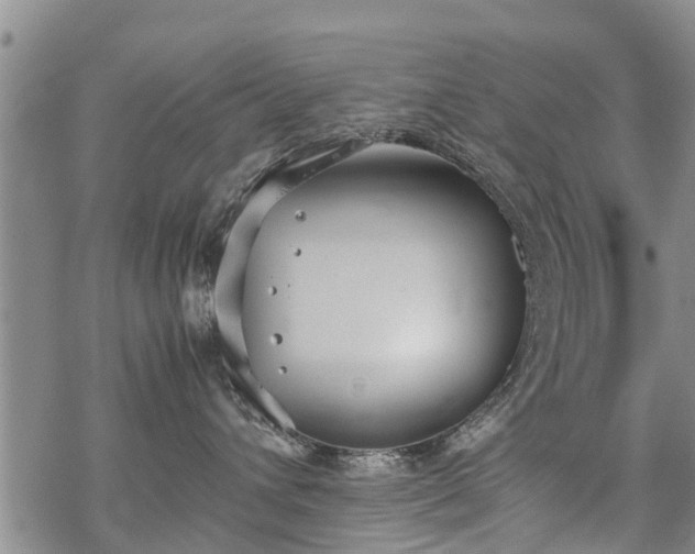 X0000069390432200605192218