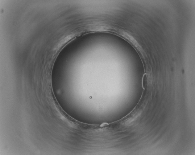 X0000069390433200605192218