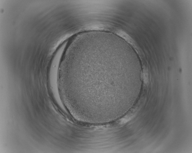 X0000069390434200605192218