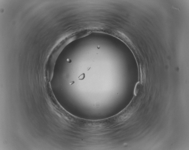 X0000069390435200605192218