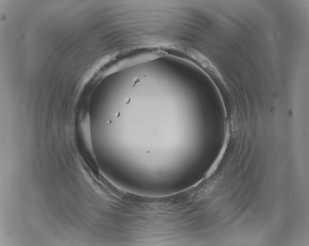 X0000069390436200605192218