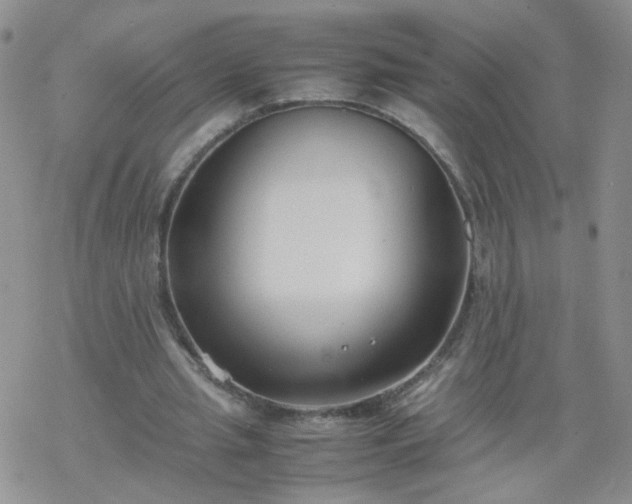 X0000069390437200605192218