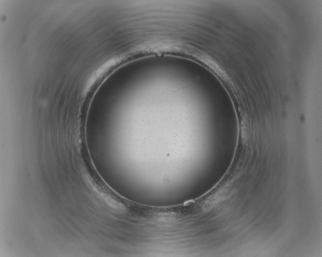 X0000069390438200605192218