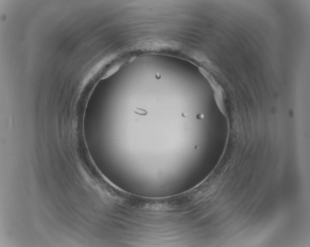 X0000069390440200605192218