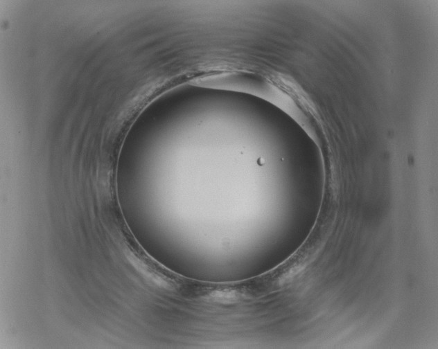 X0000069390441200605192218