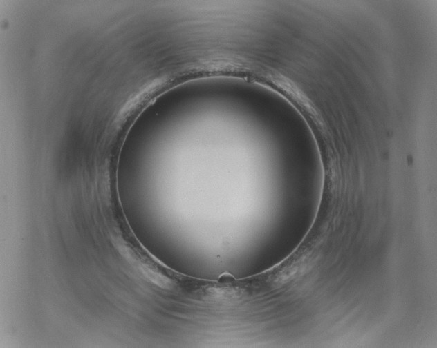 X0000069390442200605192218