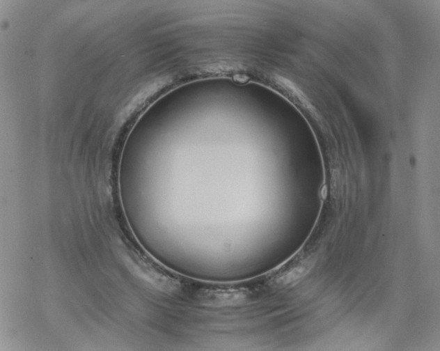 X0000069390443200605192218