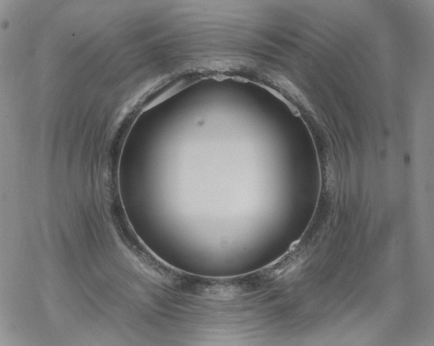 X0000069390444200605192218