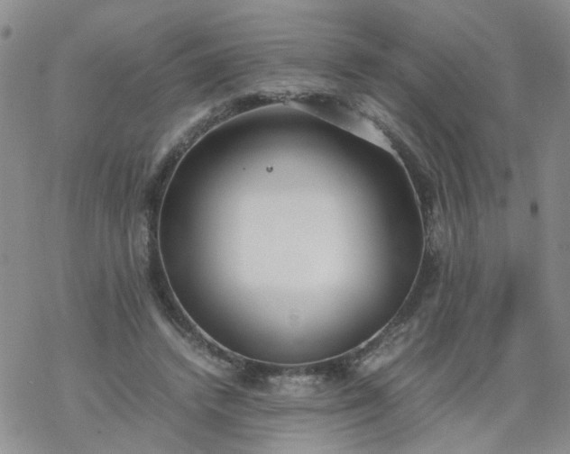 X0000069390448200605192218