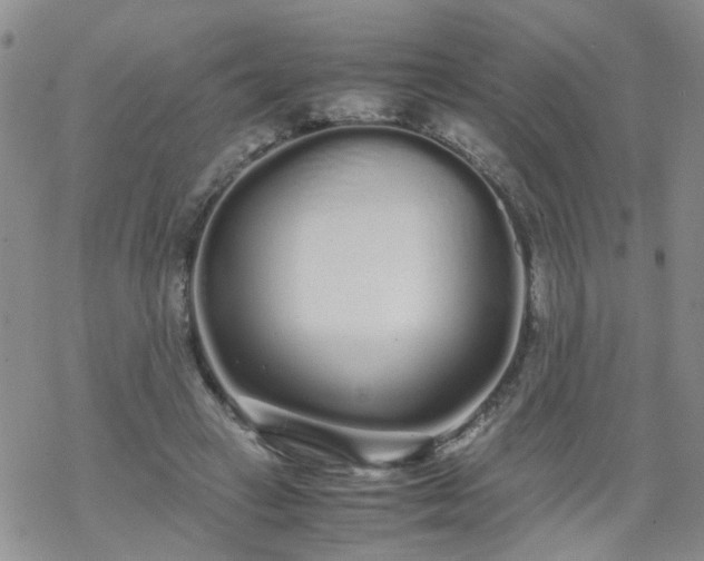 X0000069390449200605192218