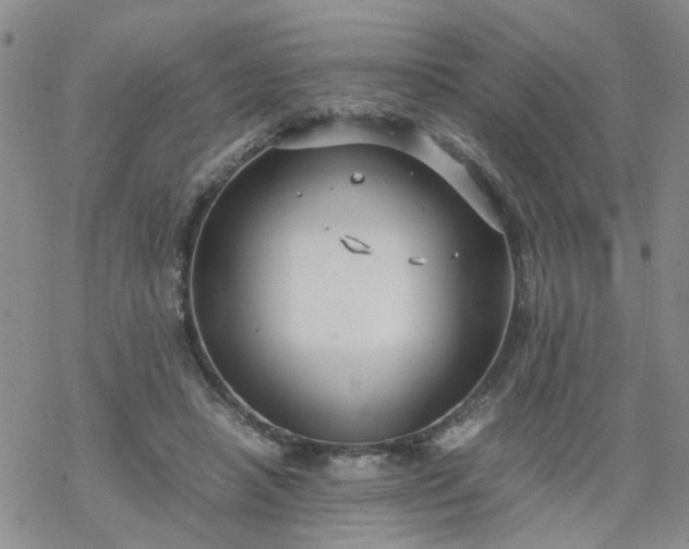 X0000069390450200605192218