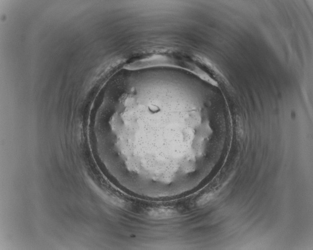 X0000069390451200605192218