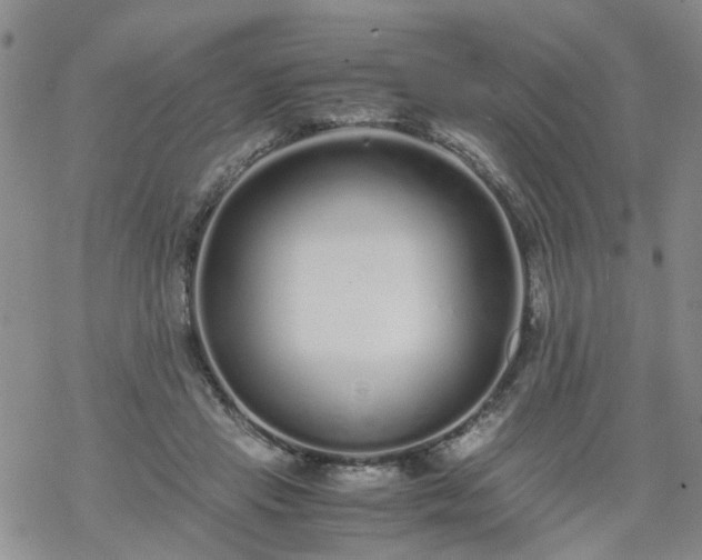 X0000069390453200605192218