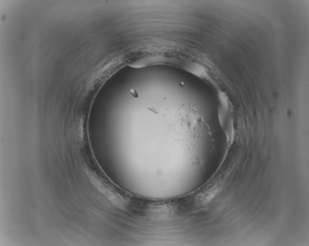 X0000069390454200605192218