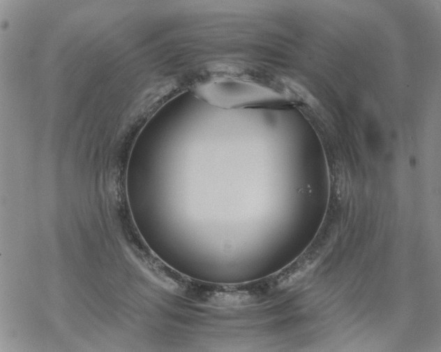 X0000069390455200605192218