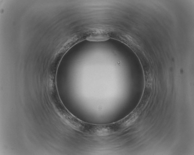 X0000069390456200605192218