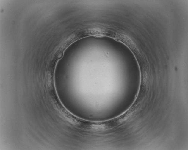 X0000069390457200605192218