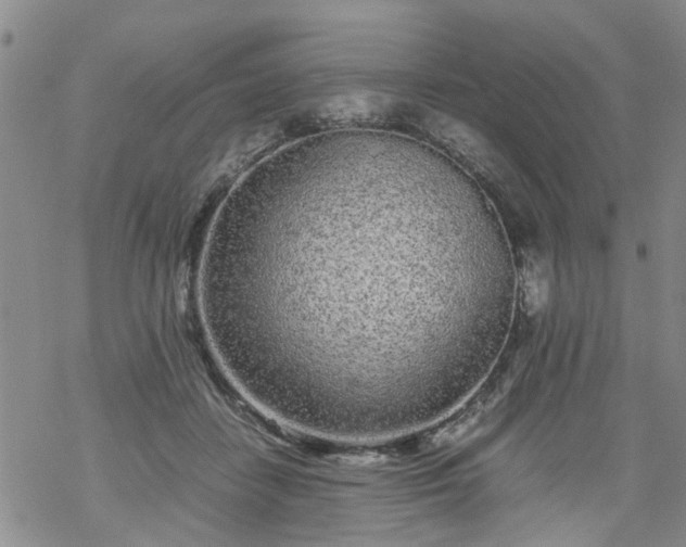 X0000069390458200605192218