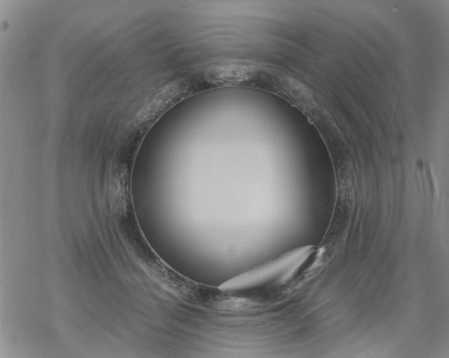 X0000069390460200605192218