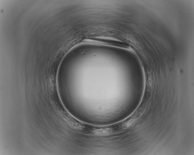 X0000069390461200605192218