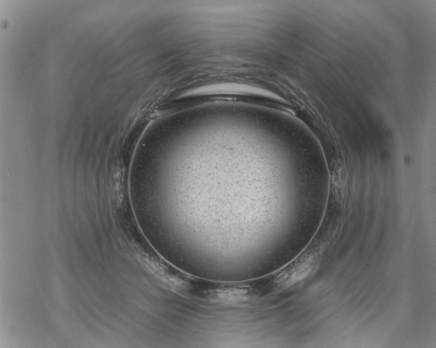 X0000069390462200605192218