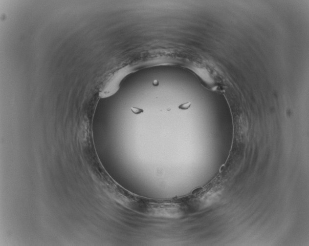 X0000069390463200605192218