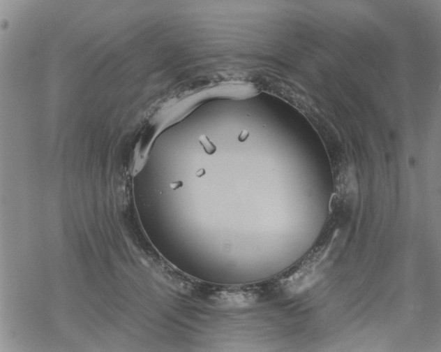 X0000069390464200605192218