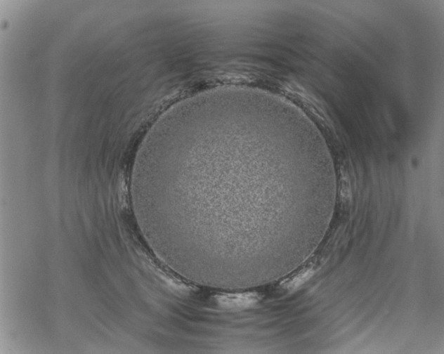 X0000069390465200605192218