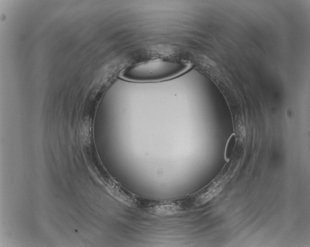 X0000069390468200605192218