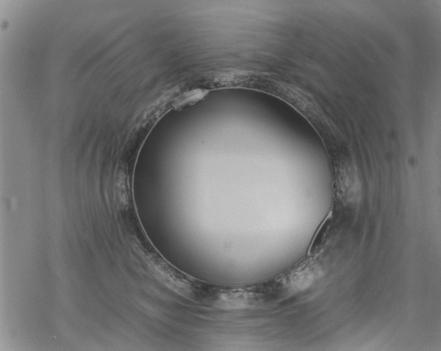 X0000069390470200605192218