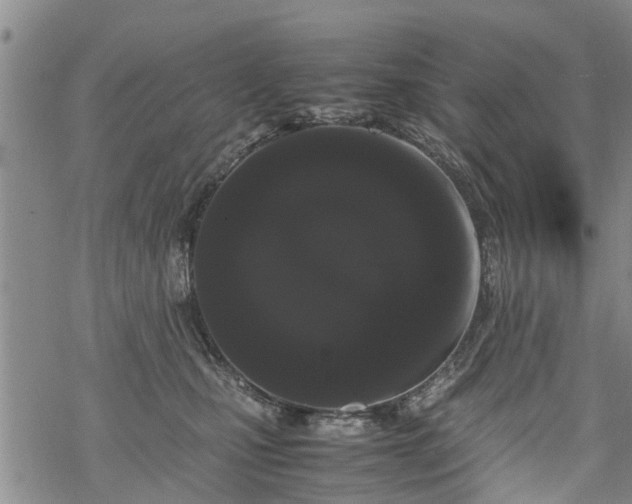 X0000069390471200605192218