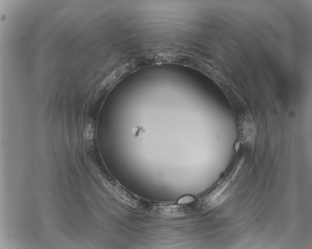 X0000069390472200605192218