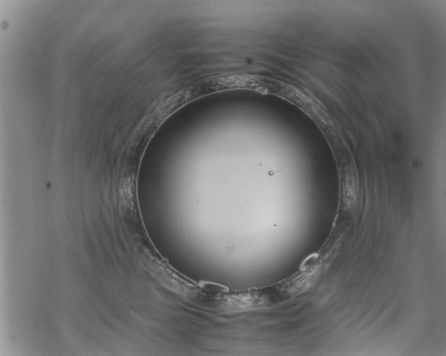 X0000069390473200605192218