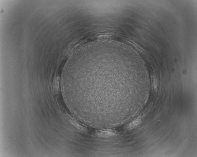 X0000069390475200605192218