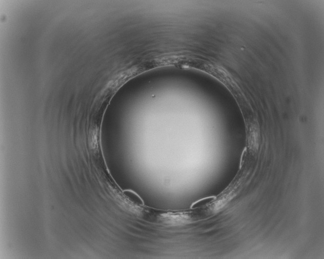 X0000069390477200605192218