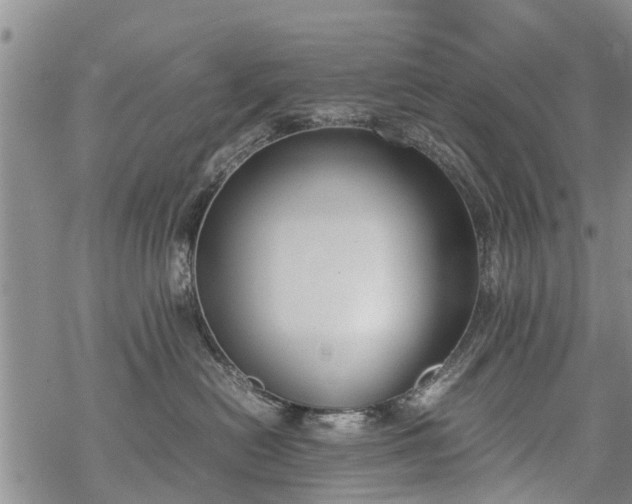 X0000069390478200605192218