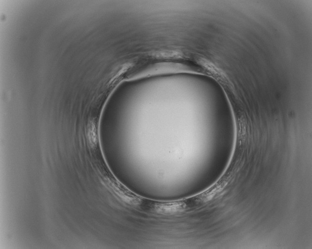 X0000069390479200605192218