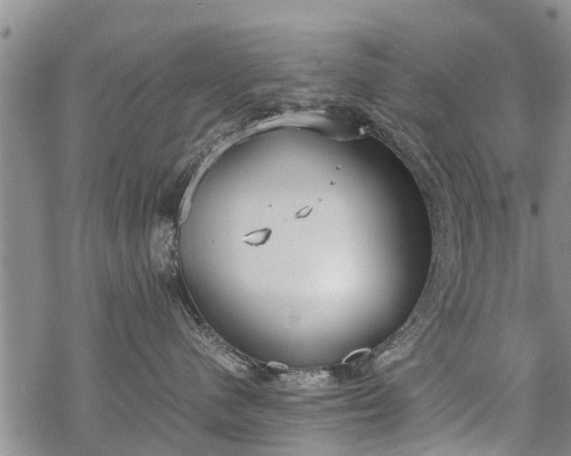 X0000069390480200605192218